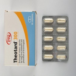 THEOTARD 300 - инструкция по применению в Израиле