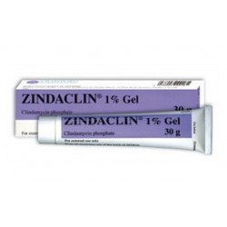 ZINDACLIN 1 % GEL